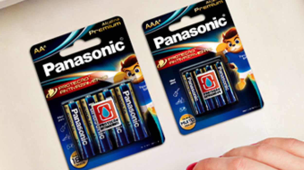 Como usar e armazenar as pilhas corretamente? 3